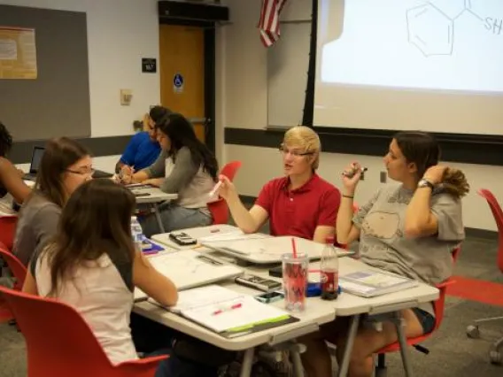 BSW 301 Students using whiteboards