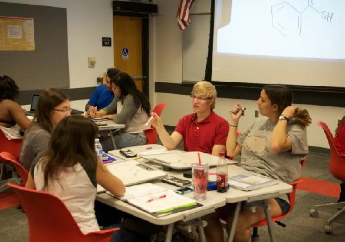 BSW 301 Students using whiteboards